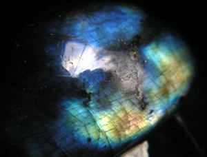 13-raburadorait c.jpg